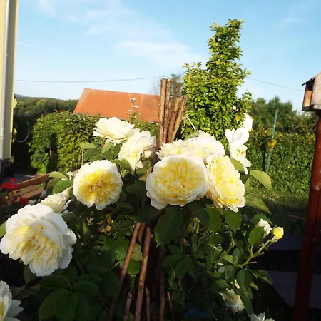 Lindemann * Weissig (Sachsische Schweiz-Osterzgebirge)